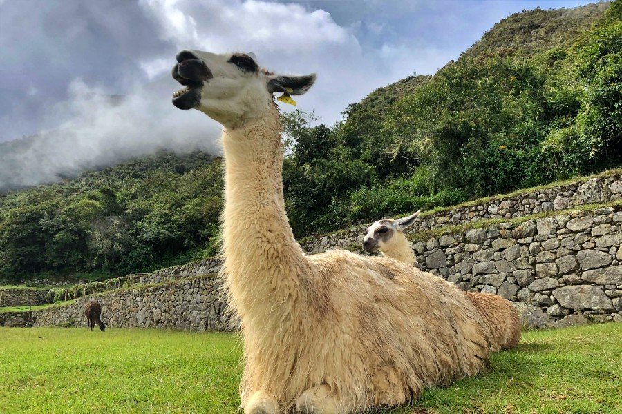 4-Day Lares &amp; Machu Picchu Trek