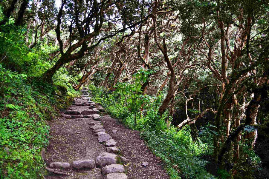 7-Day Ancascocha Trek &amp; Classic Inca Trail