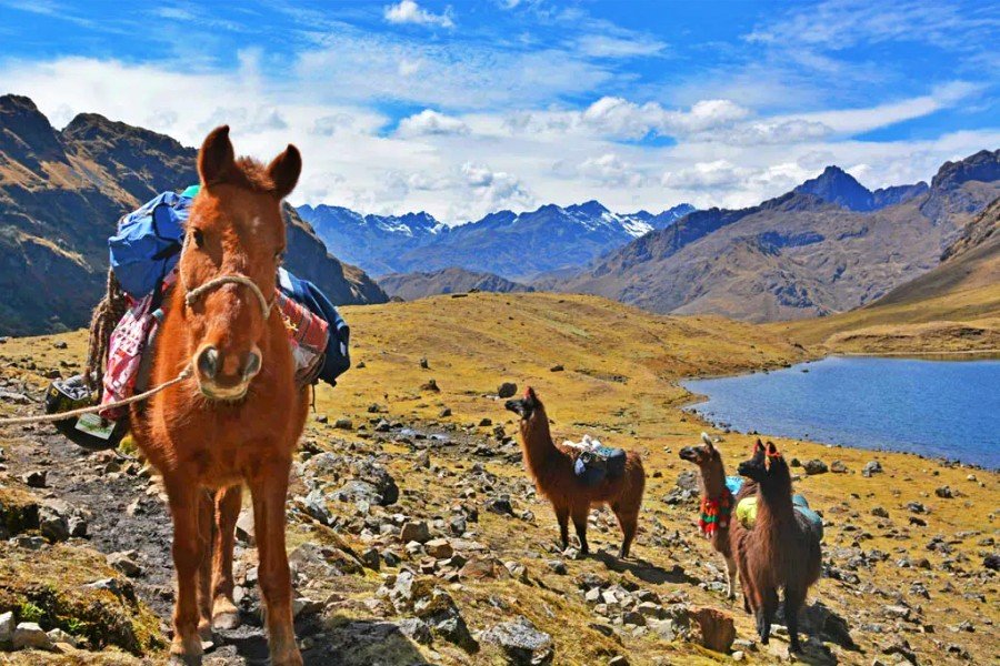 4-Day Lares &amp; Machu Picchu Trek