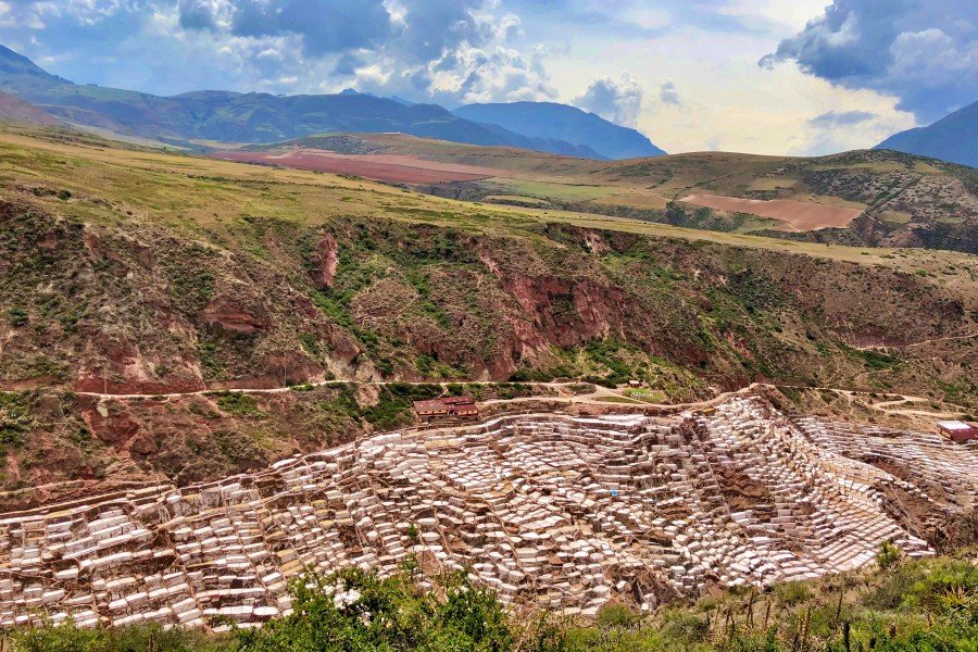 1-day moray to maras llama trek