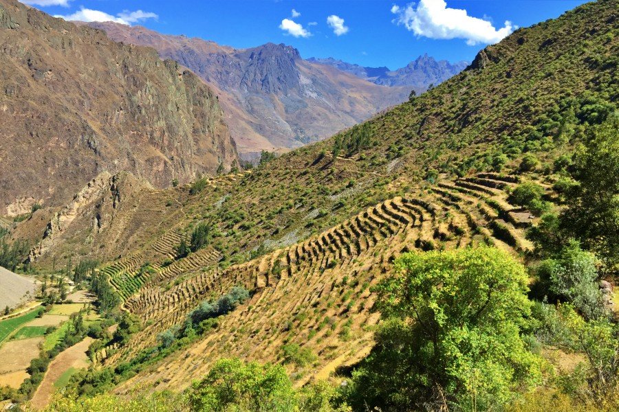 1-day pumamarca to ollantaytambo trek