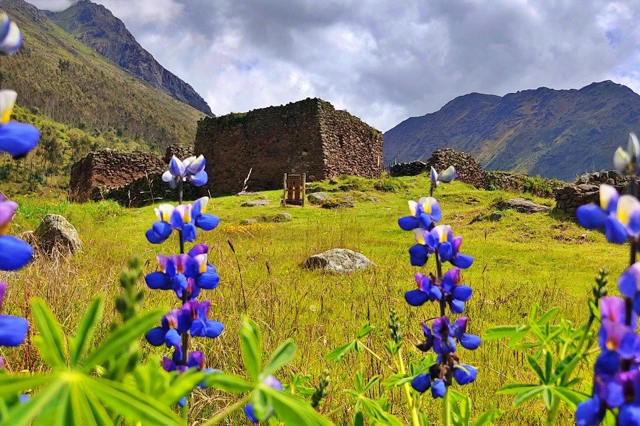 1-day pumamarca to ollantaytambo trek