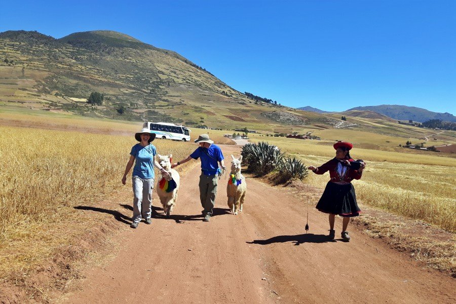 1-day moray to maras llama trek