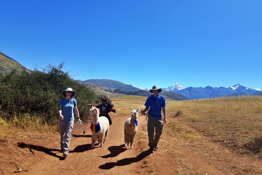 1-day moray to maras llama trek